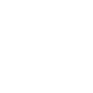 Logo Linkedin